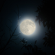 Illustration for article titled 21 Super Photos Of The Super Moon